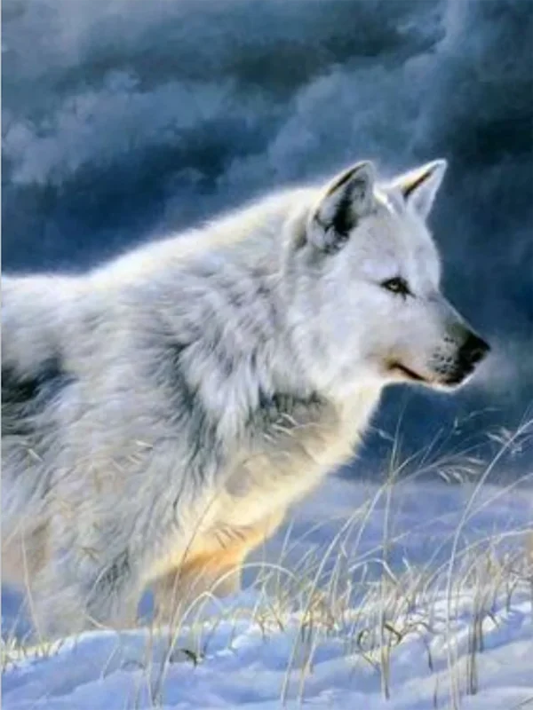 AB Diamond Painting op canvas – Wolf bij Maan en Bergen – Volledige bedekking – Keuze uit ronde of vierkante AB/Fairydust steentjes