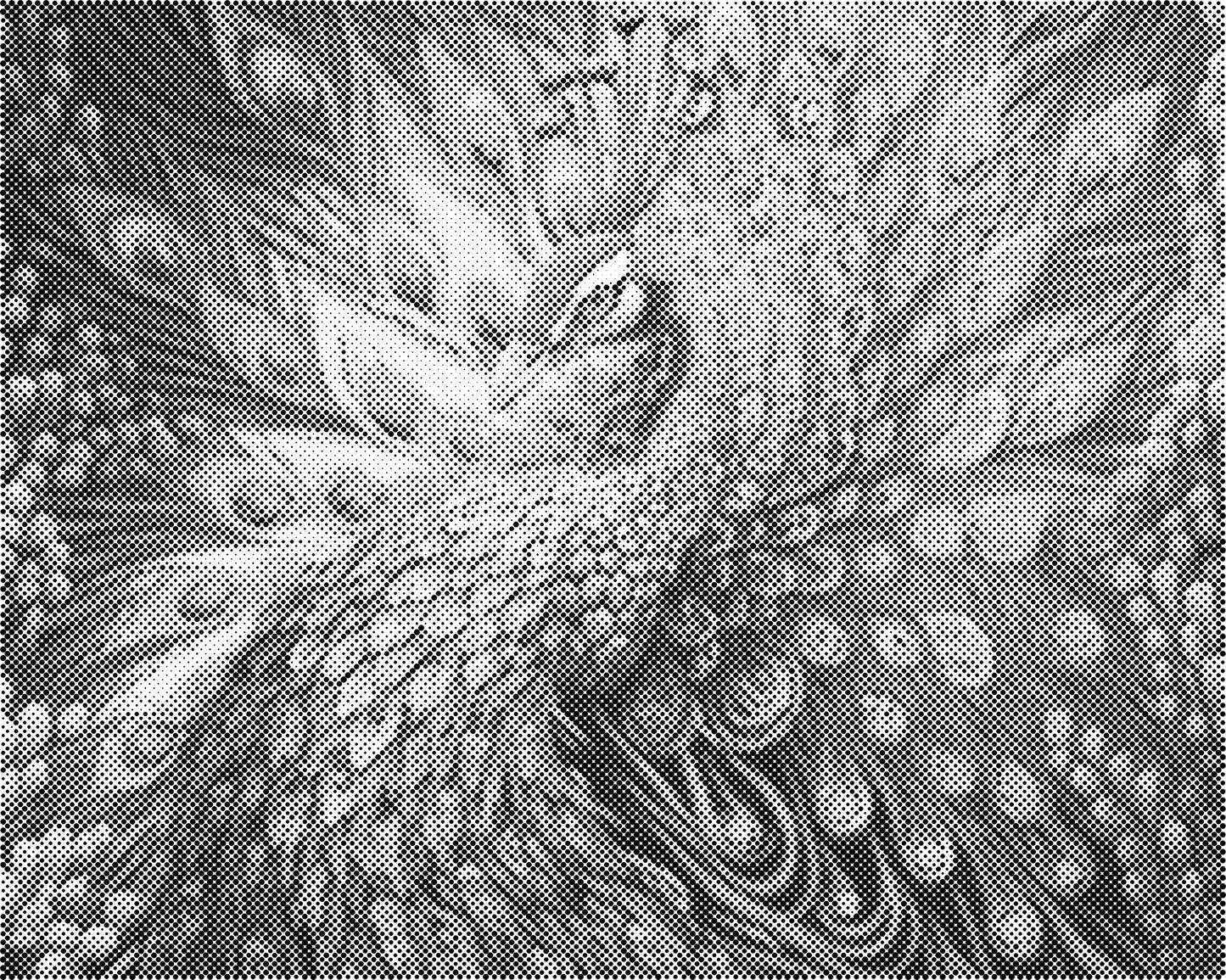 DOT Painting 40x50cm - Dieren Stippelkunst in Één Kleur