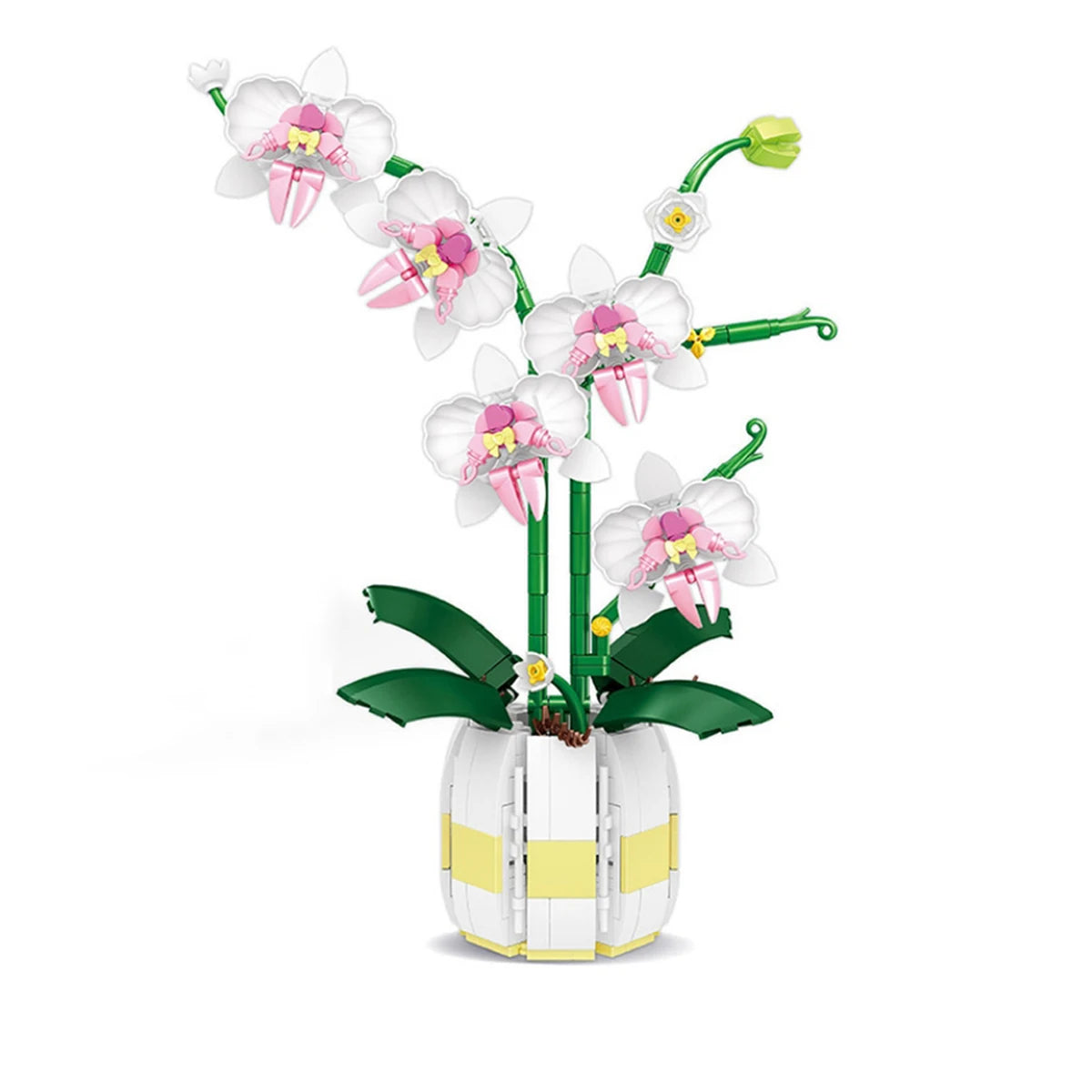 Bouwpakket Epiphyllum Bloem in Pot – Creatieve Decoratie en Geschenkidee