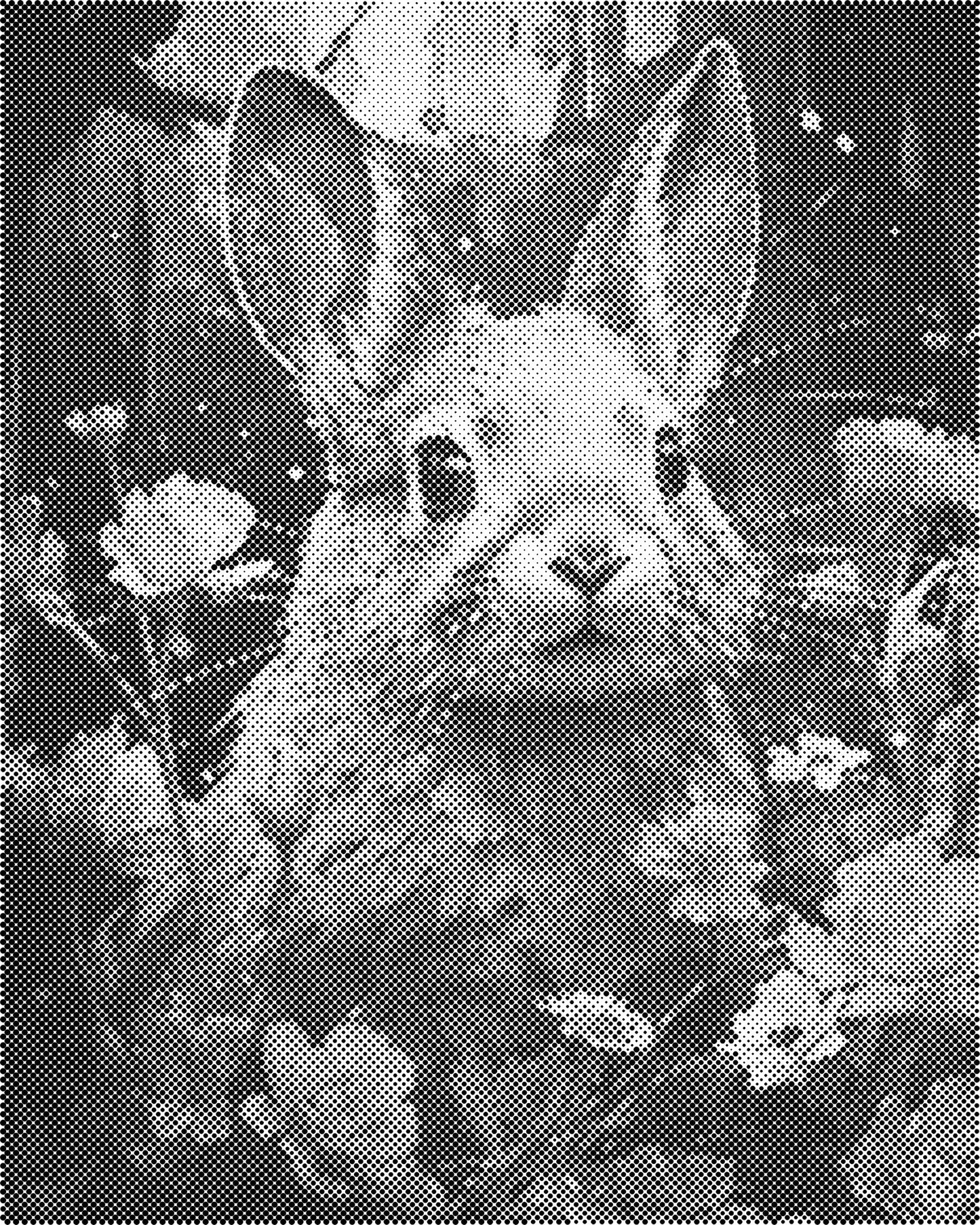 DOT Painting 40x50cm - Dierenmotief - Één Kleur Stippen - stippelschilderij - Konijn