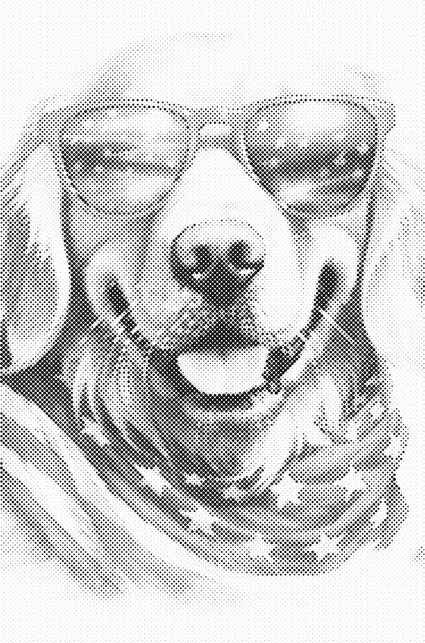 DOT Painting - Dieren op Voorbedrukt Canvas (40x60cm, 50x75cm, 60x90cm)
