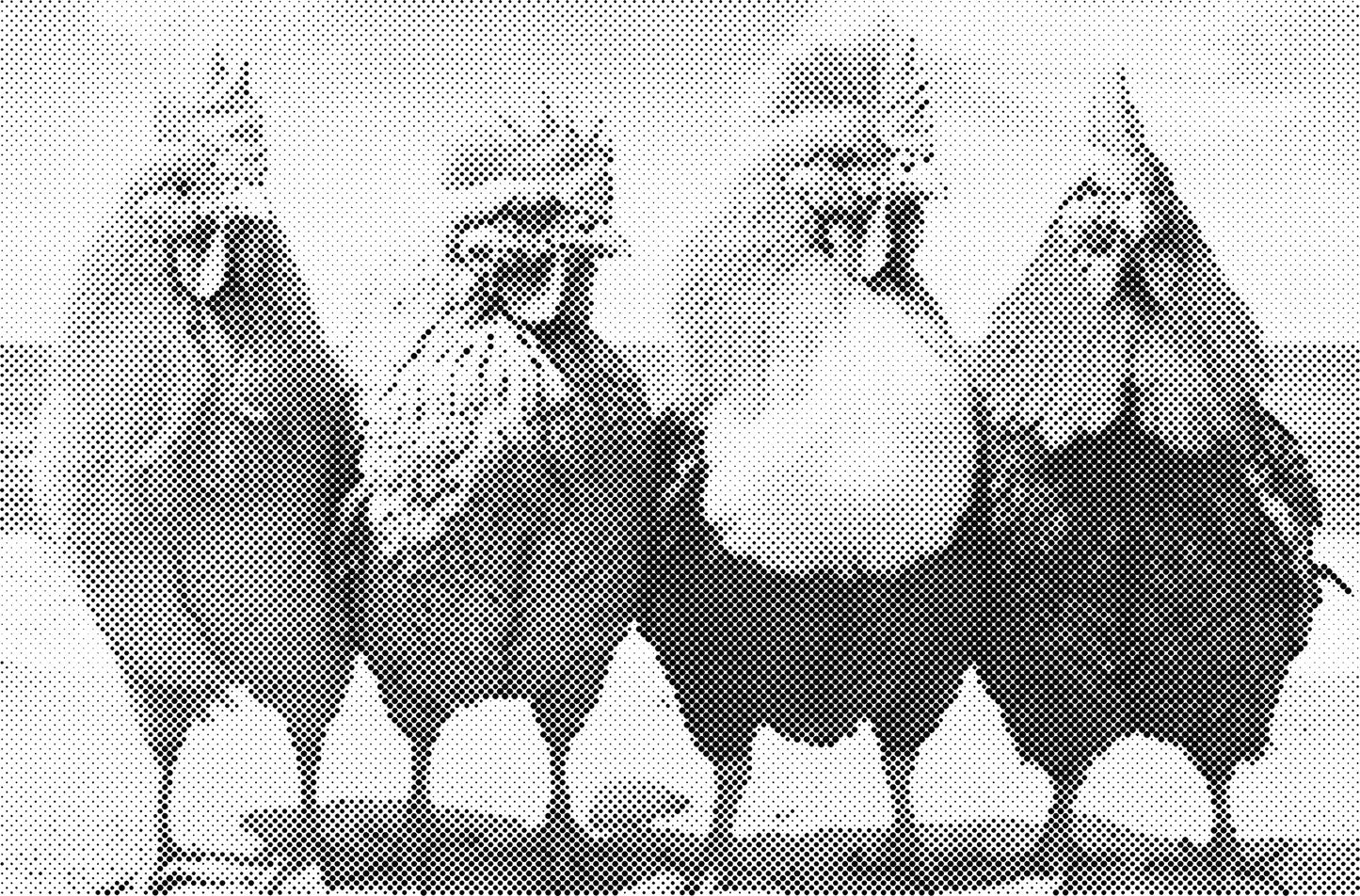 DOT Painting - Dieren op Voorbedrukt Canvas (40x60cm, 50x75cm, 60x90cm)