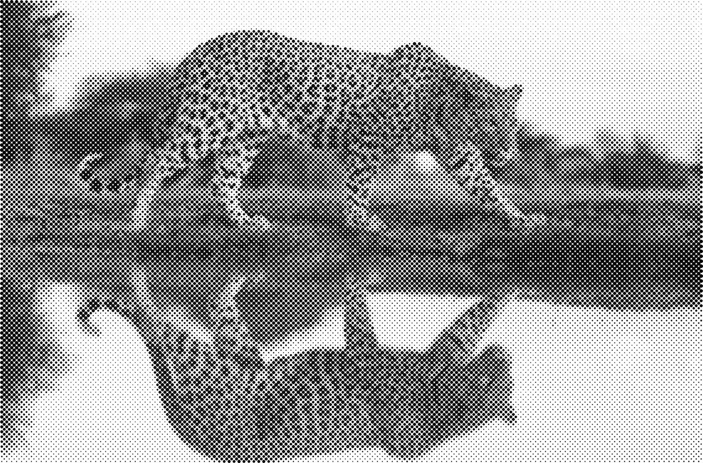DOT Painting - Een Kleur Stippelkunst met Dieren