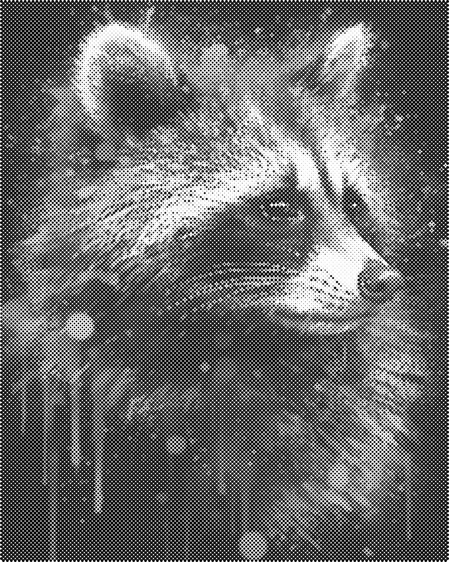 DOT Painting 40x50cm - Dieren Stippelkunst in Één Kleur