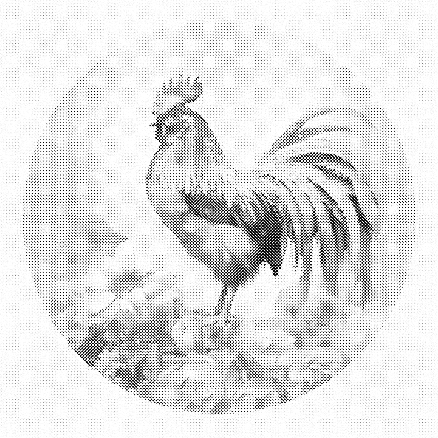 DOT Painting – Kippen & Hanen (40x40cm, 50x50cm of 60x60cm)