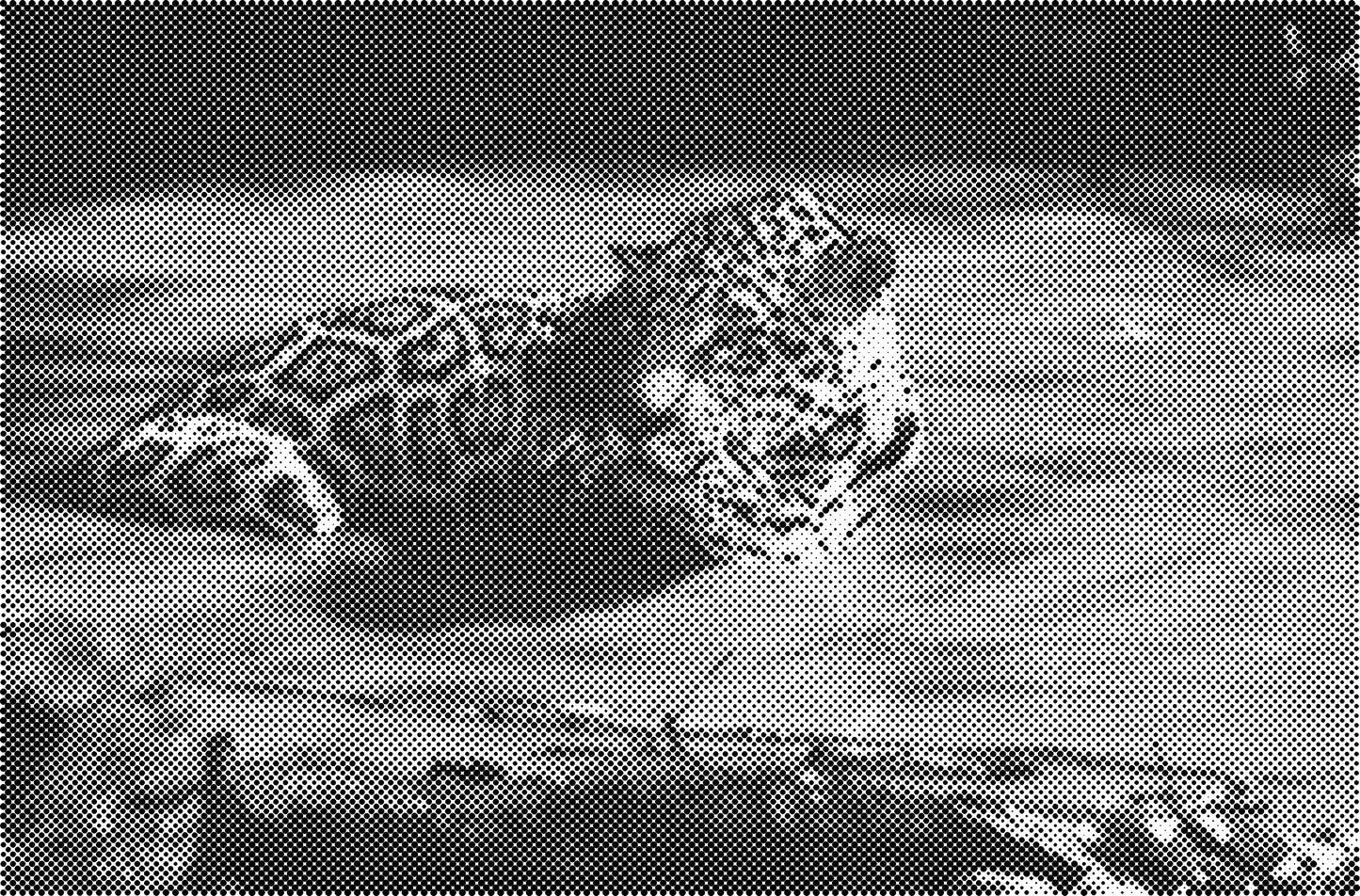 DOT Painting - Een Kleur Stippelkunst met Dieren