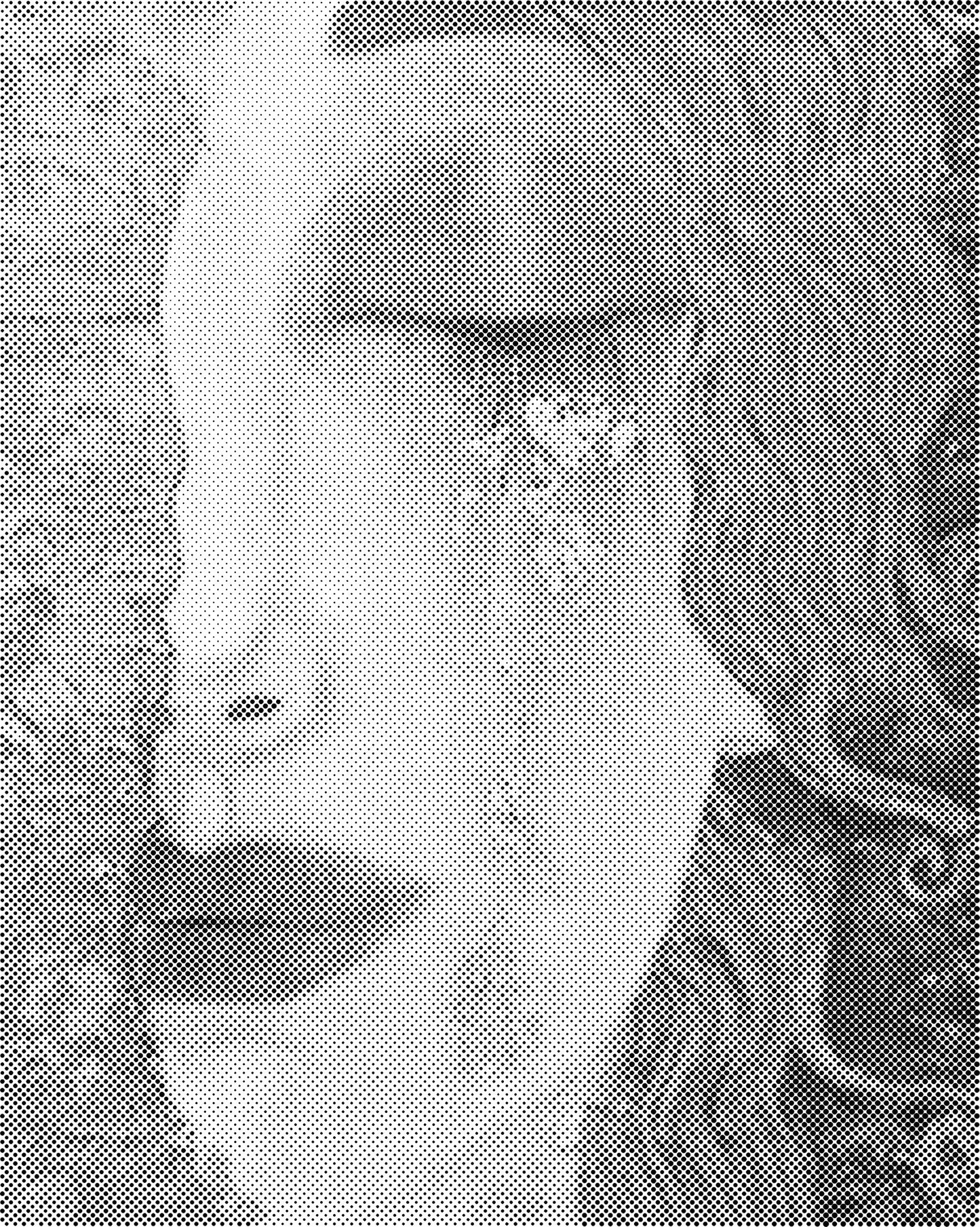 DOT Painting 40x50cm - Eenkleurig Stippelschilderij