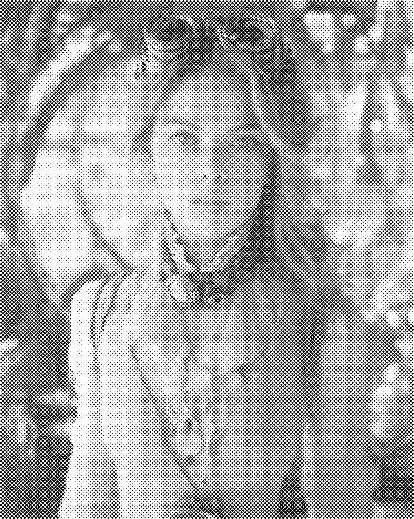 DOT Painting - Steampunk Portret (40x50 cm of 60x75 cm)