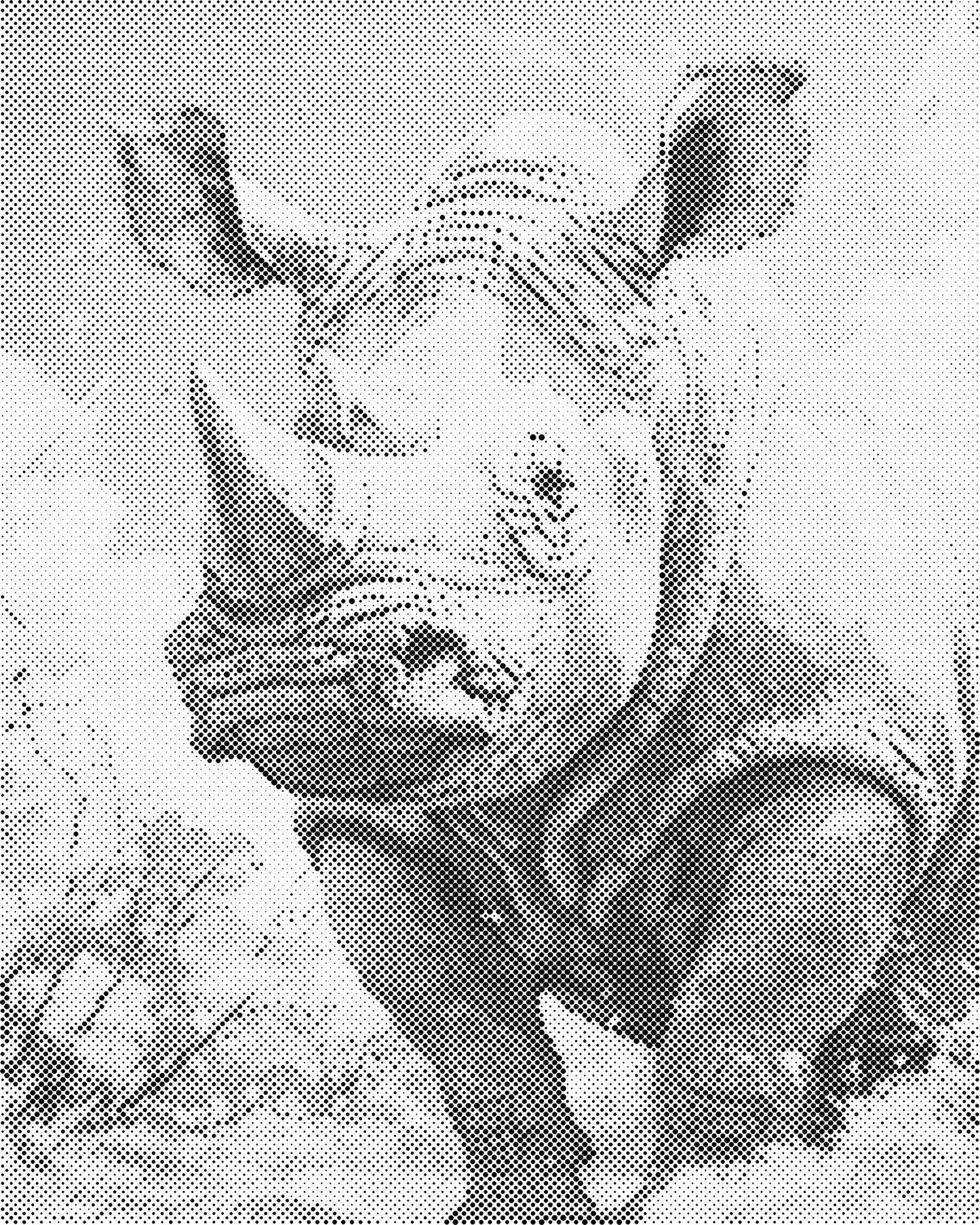 DOT Painting 40x50cm - Dierenmotief - Één Kleur Stippen - stippelschilderij - Neushoorn
