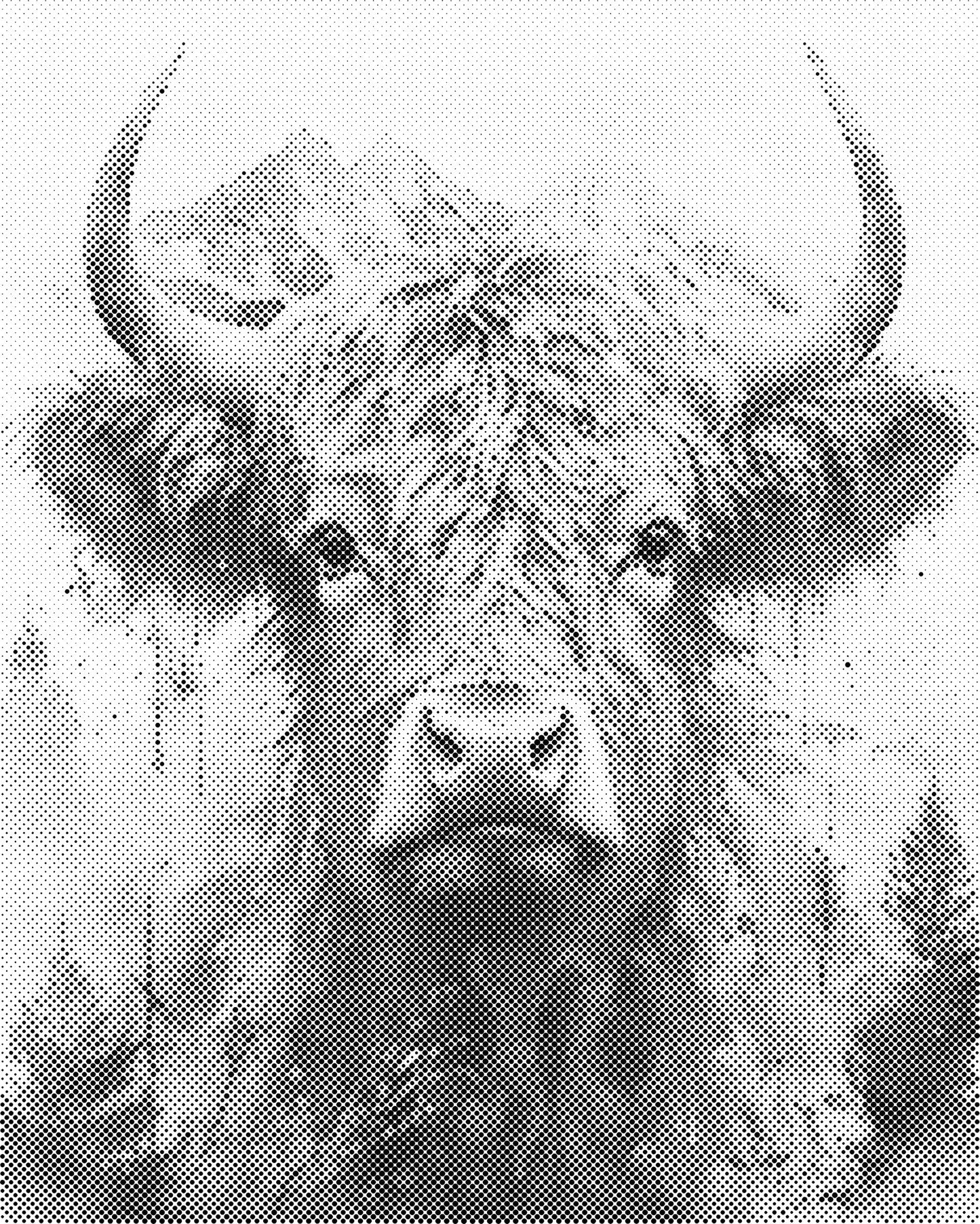 DOT Painting 40x50cm - Dierenmotief - Één Kleur Stippen - stippelschilderij - Schotse Hooglander