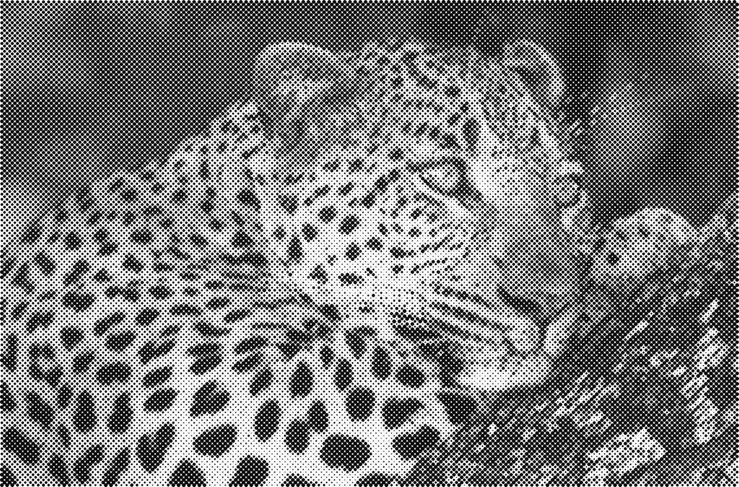 DOT Painting - Een Kleur Stippelkunst met Dieren