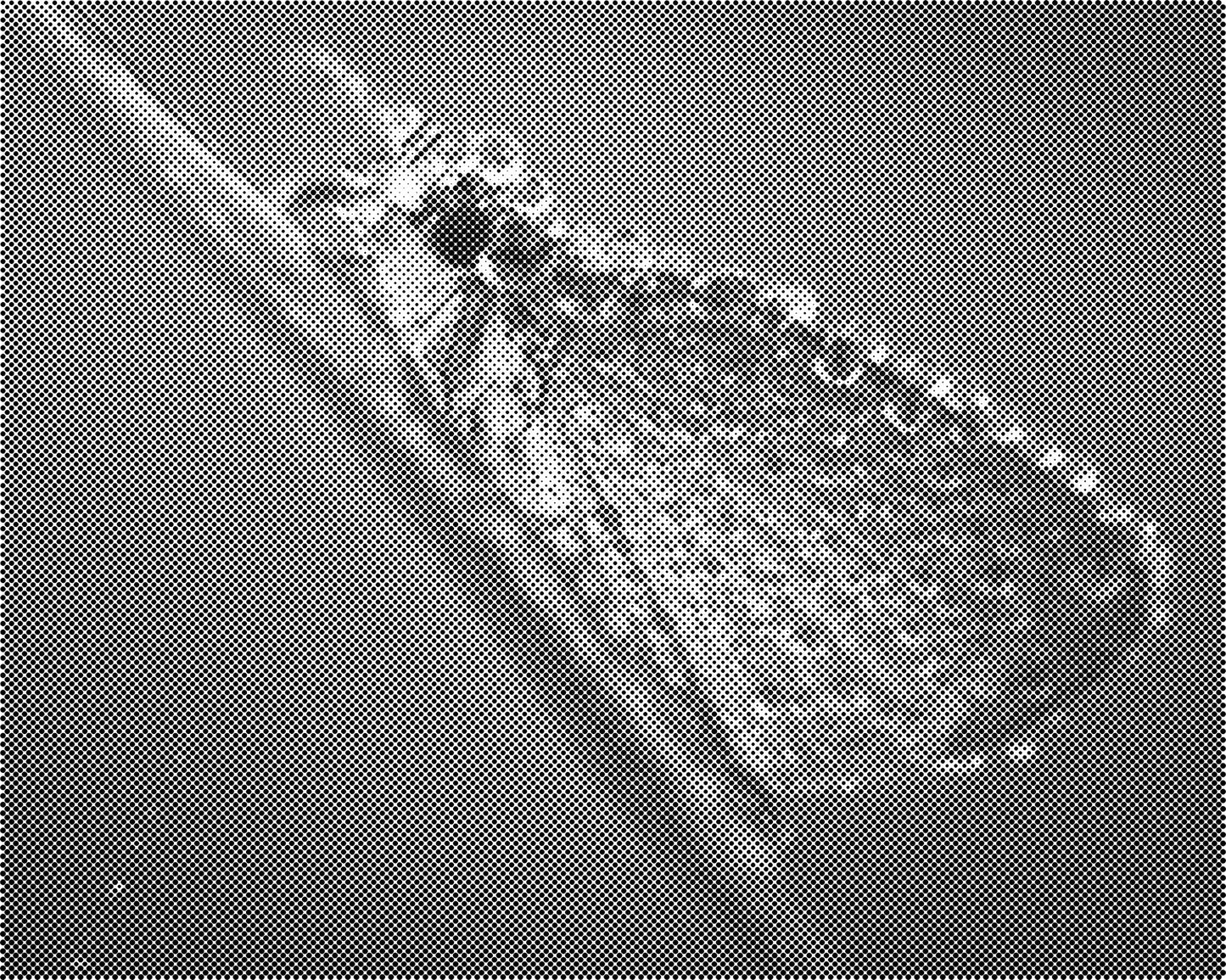 DOT Painting Vlinder - Magical Insects