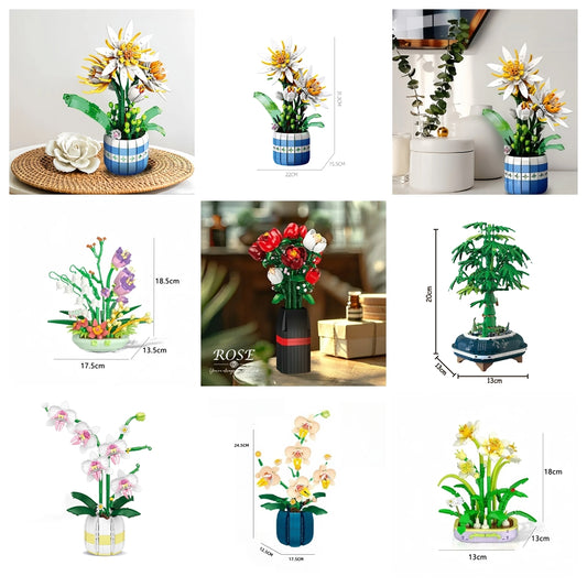 Bouwpakket Epiphyllum Bloem in Pot – Creatieve Decoratie en Geschenkidee