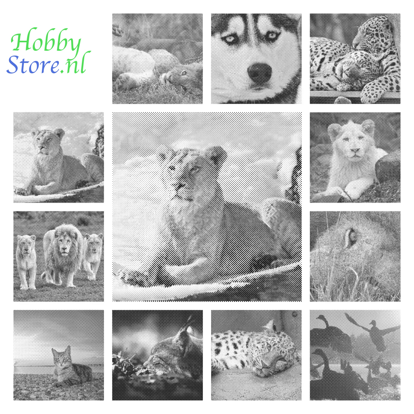 DOT Painting Big Cats - Leeuw, Tijger en Luipaard