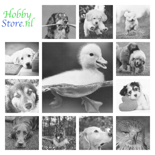 DOT Painting Honden, Eenden en Vogels - Verkrijgbaar in 40x60cm, 50x75cm, en 60x90cm