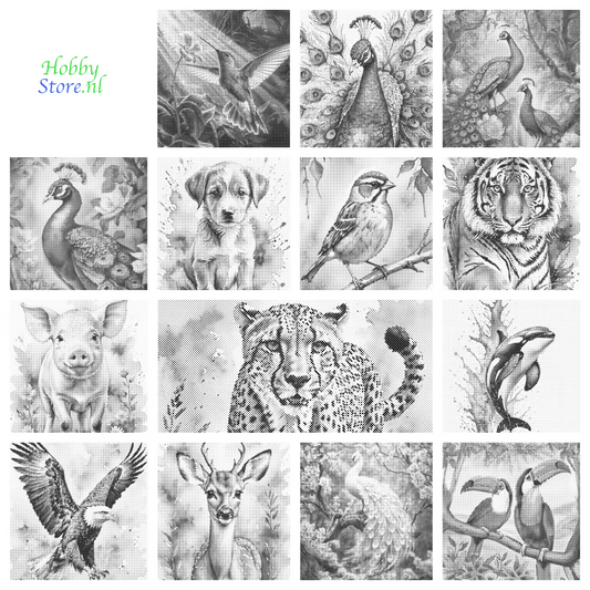 DOT Painting – Dieren op Canvas (40x50cm of 60x75cm) – Met of zonder stiften