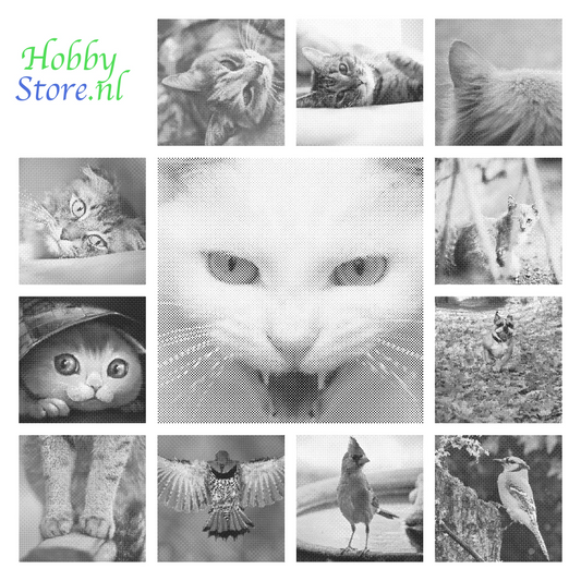 DOT Painting Dieren - Katten en Vogels