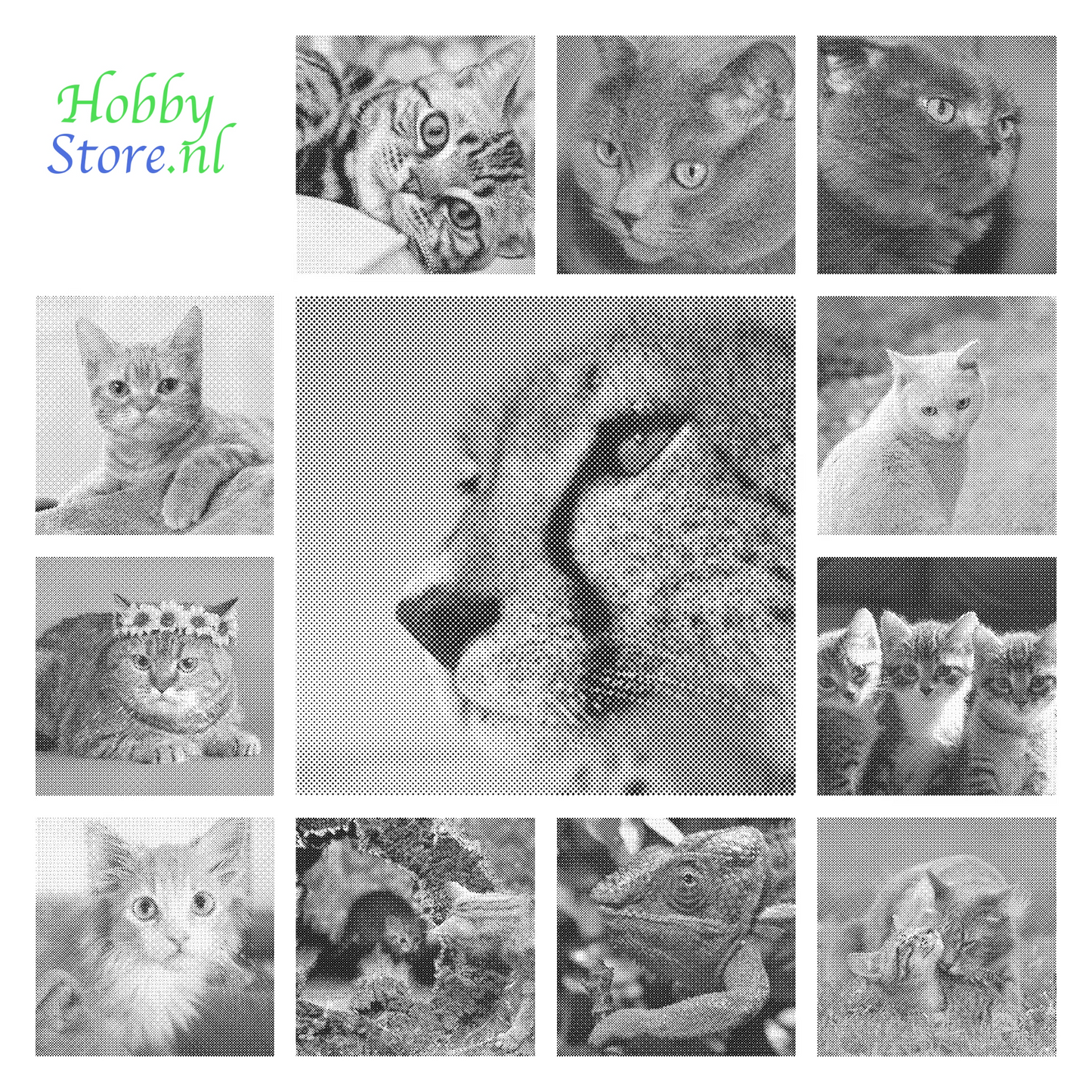 DOT Painting Katten - Verkrijgbaar in 40x60cm, 50x75cm en 60x90cm