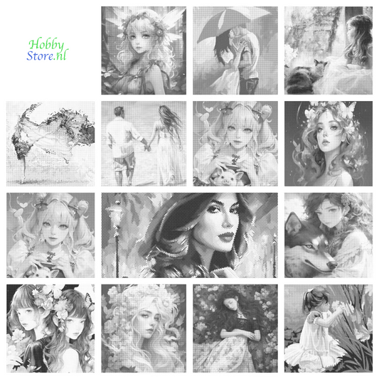 DOT Painting – Vrouwen | 40x50cm of 60x75cm