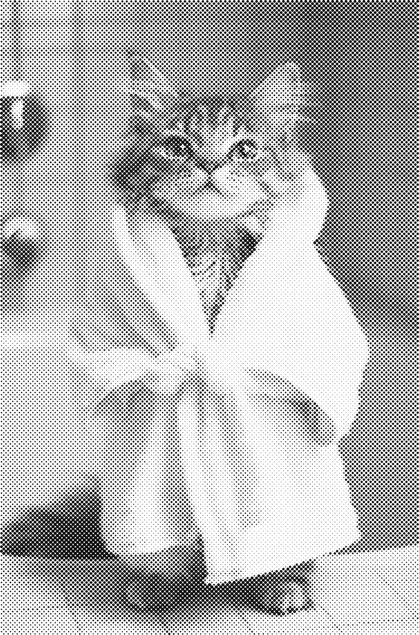 DOT Painting – Dieren in Bad (40x60cm / 50x75cm / 60x90cm)