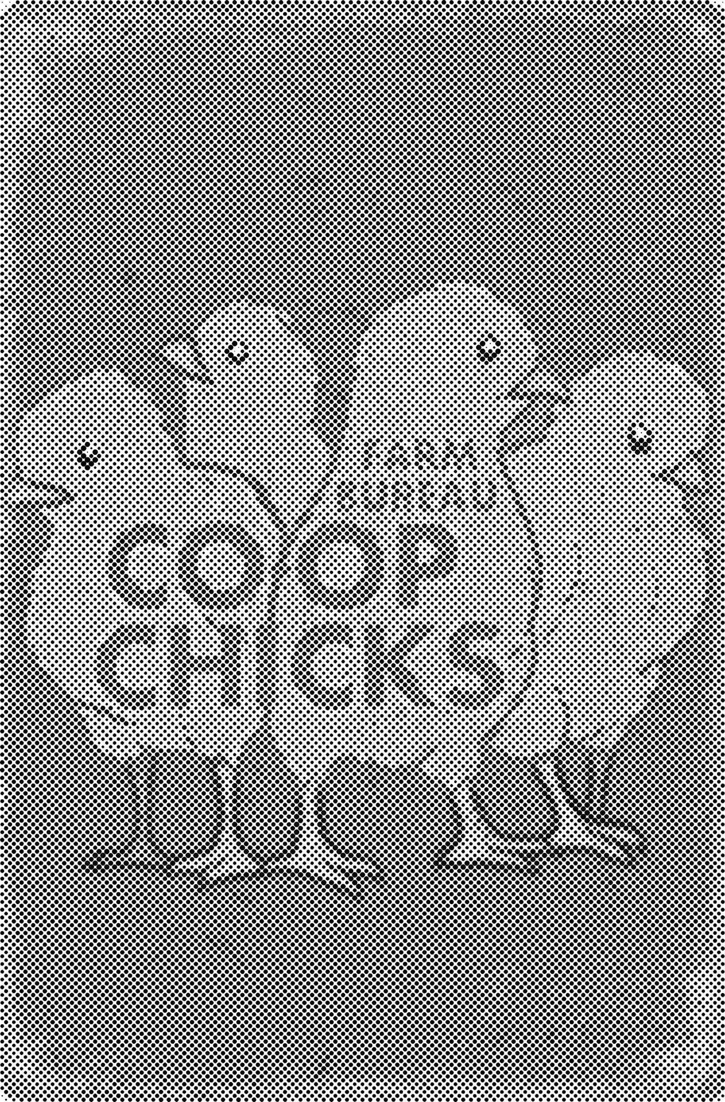 DOT Painting – Kippen & Hanen – 40x60cm t/m 60x90cm – Met of zonder stiften