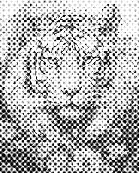DOT Painting 40x50cm - Dierenmotief - Één Kleur Stippen - stippelschilderij - Tijger 01