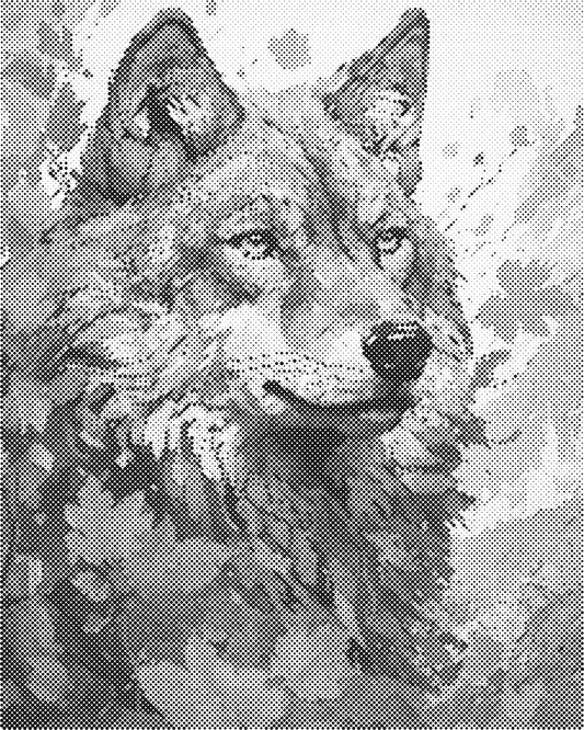 DOT Painting 40x50cm - Dierenmotief - Één Kleur Stippen - stippelschilderij - Wolf 01