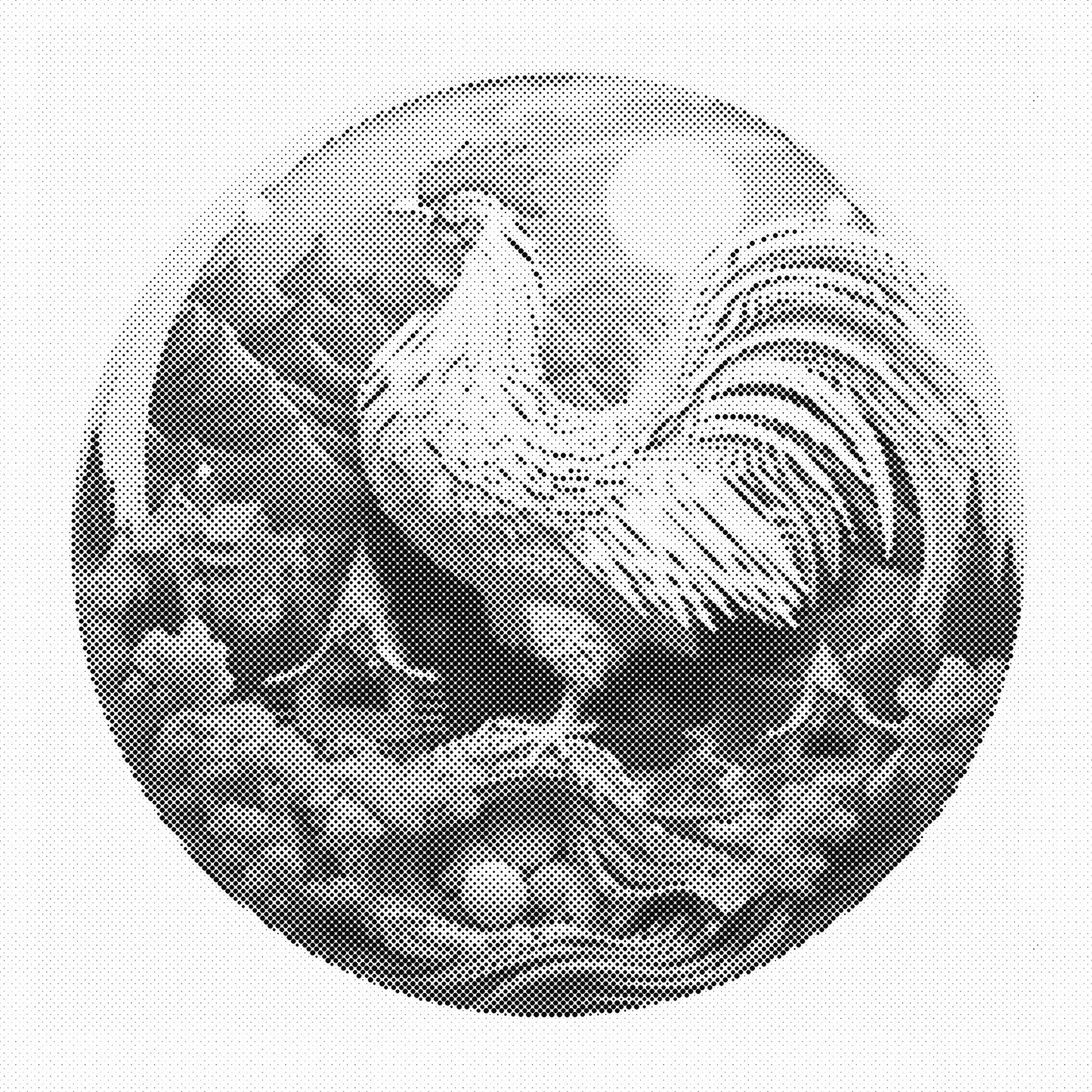 DOT Painting – Kippen & Hanen (40x40cm, 50x50cm of 60x60cm)