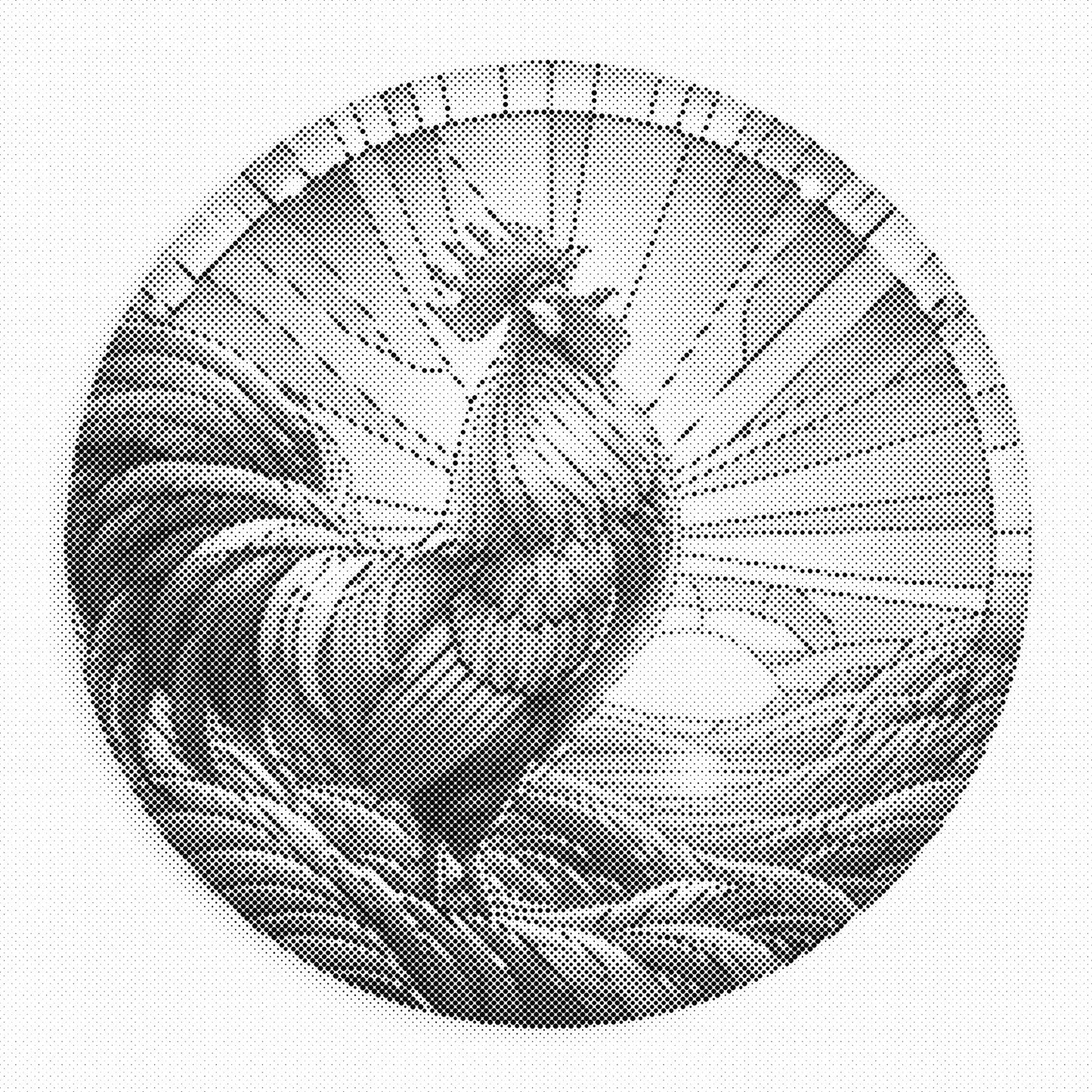 DOT Painting – Kippen & Hanen (40x40cm, 50x50cm of 60x60cm)