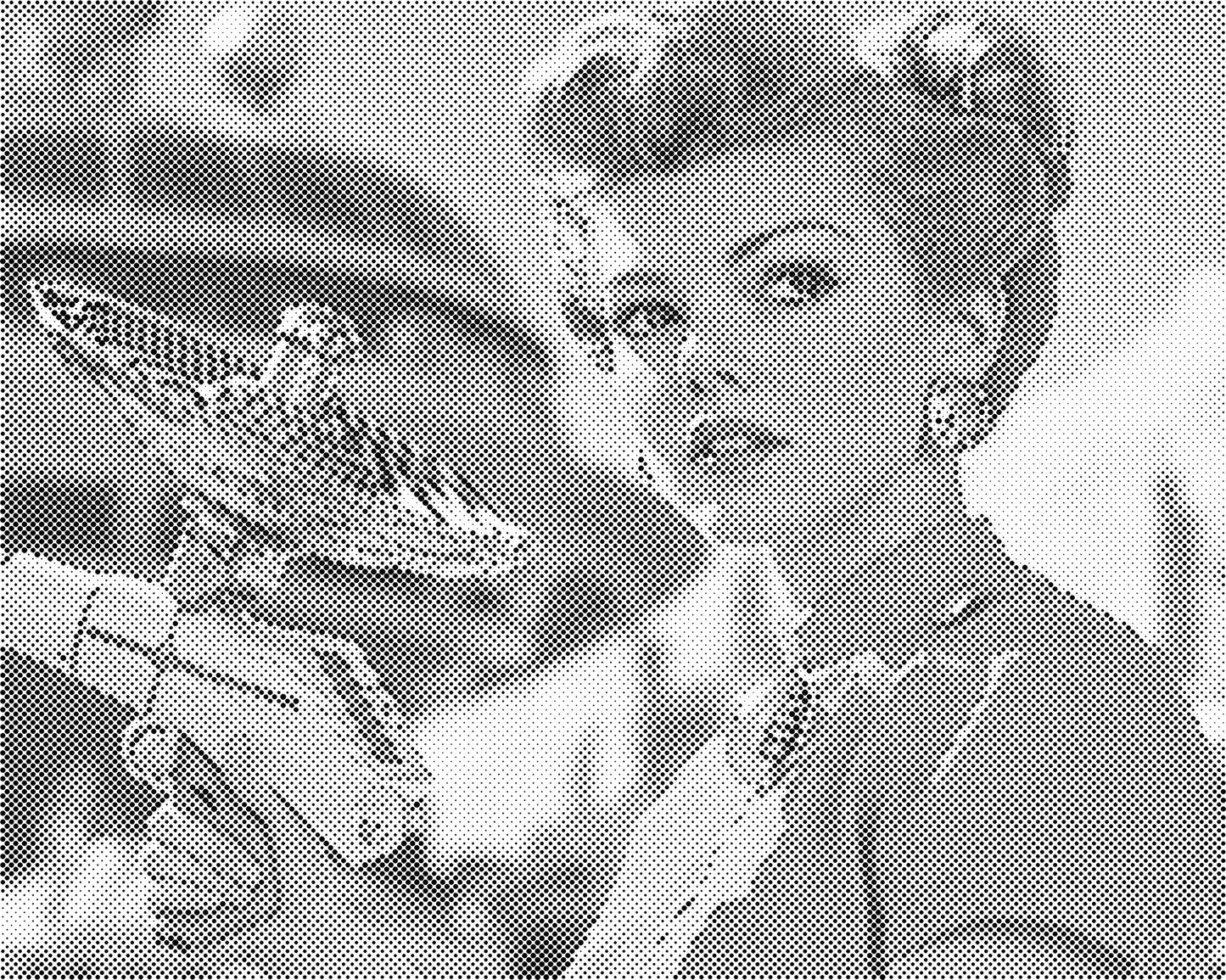 DOT Painting Portret – Stippenkunst op Canvas (40x50cm of 60x75cm)