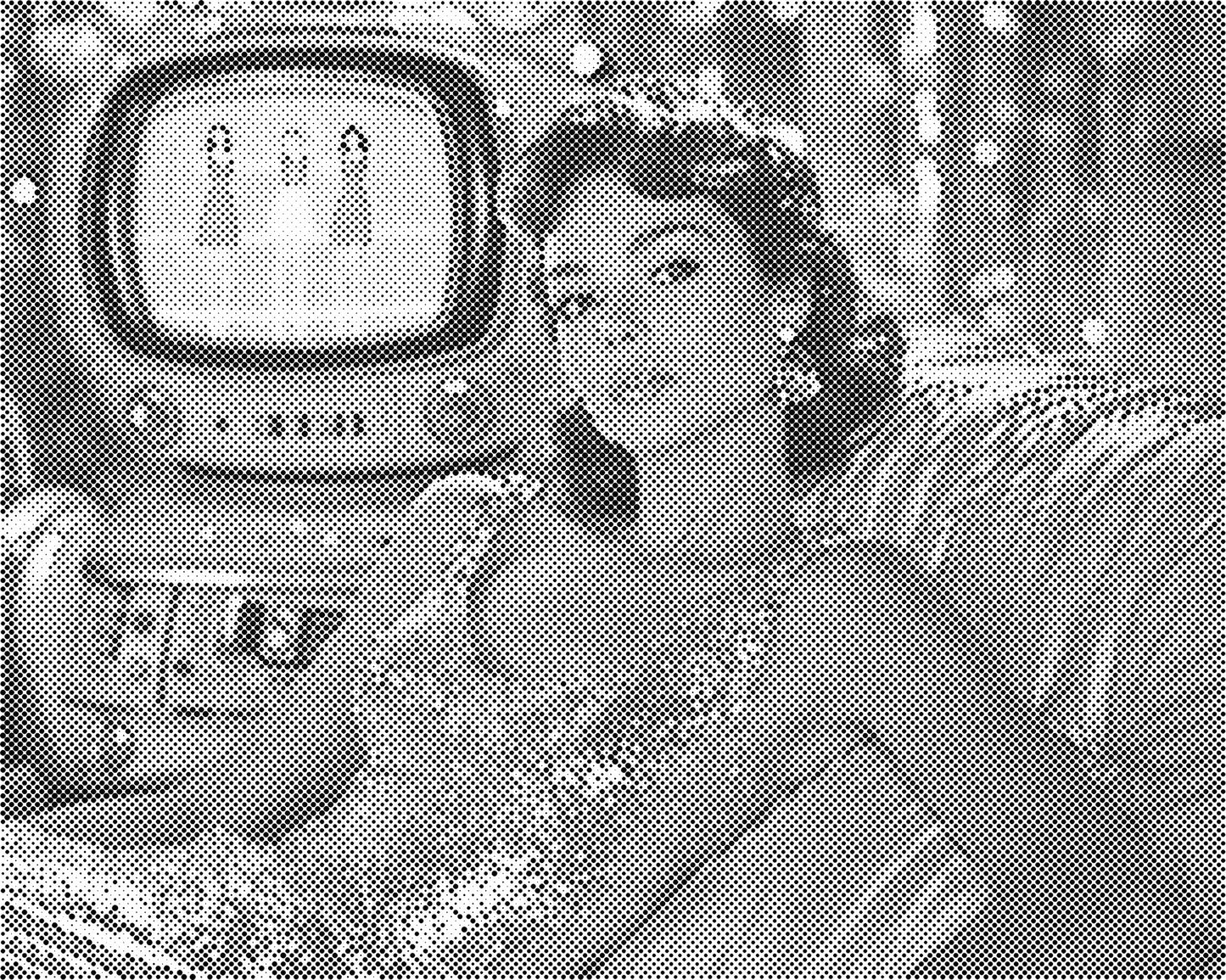 DOT Painting Portret – Stippenkunst op Canvas (40x50cm of 60x75cm)