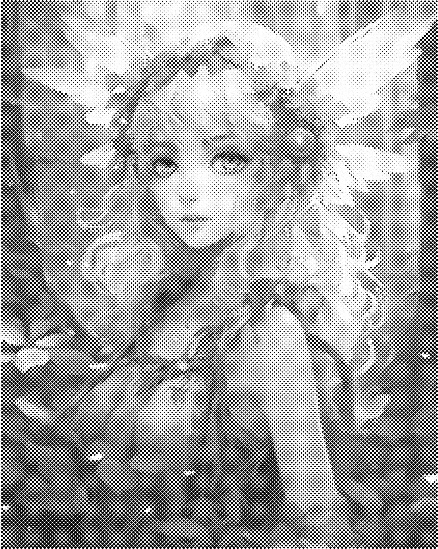 DOT Painting – Vrouwen | 40x50cm of 60x75cm