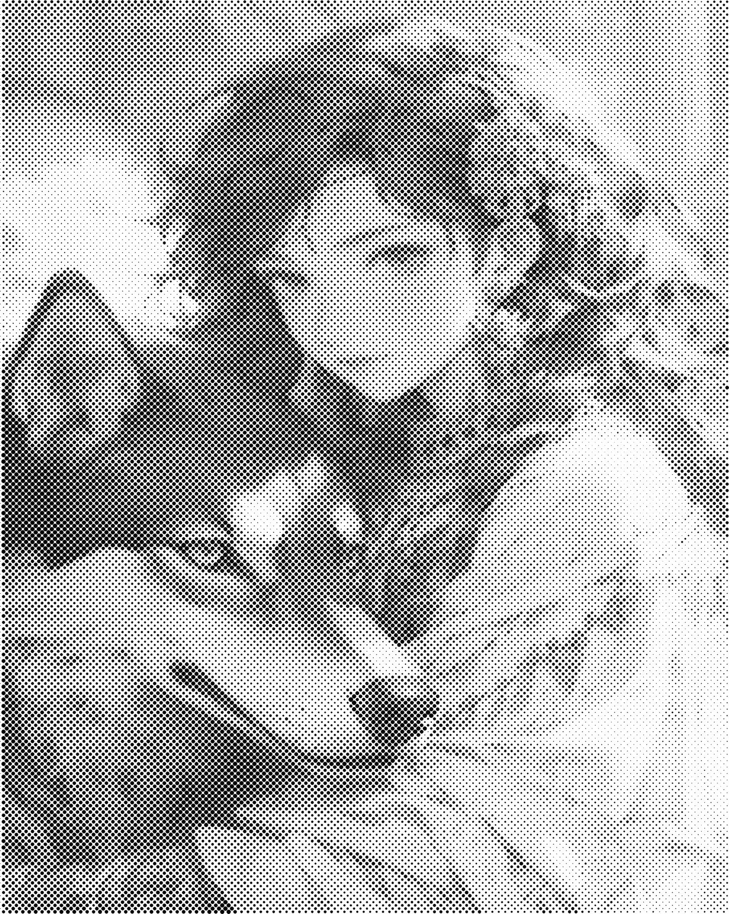 DOT Painting – Vrouwen | 40x50cm of 60x75cm