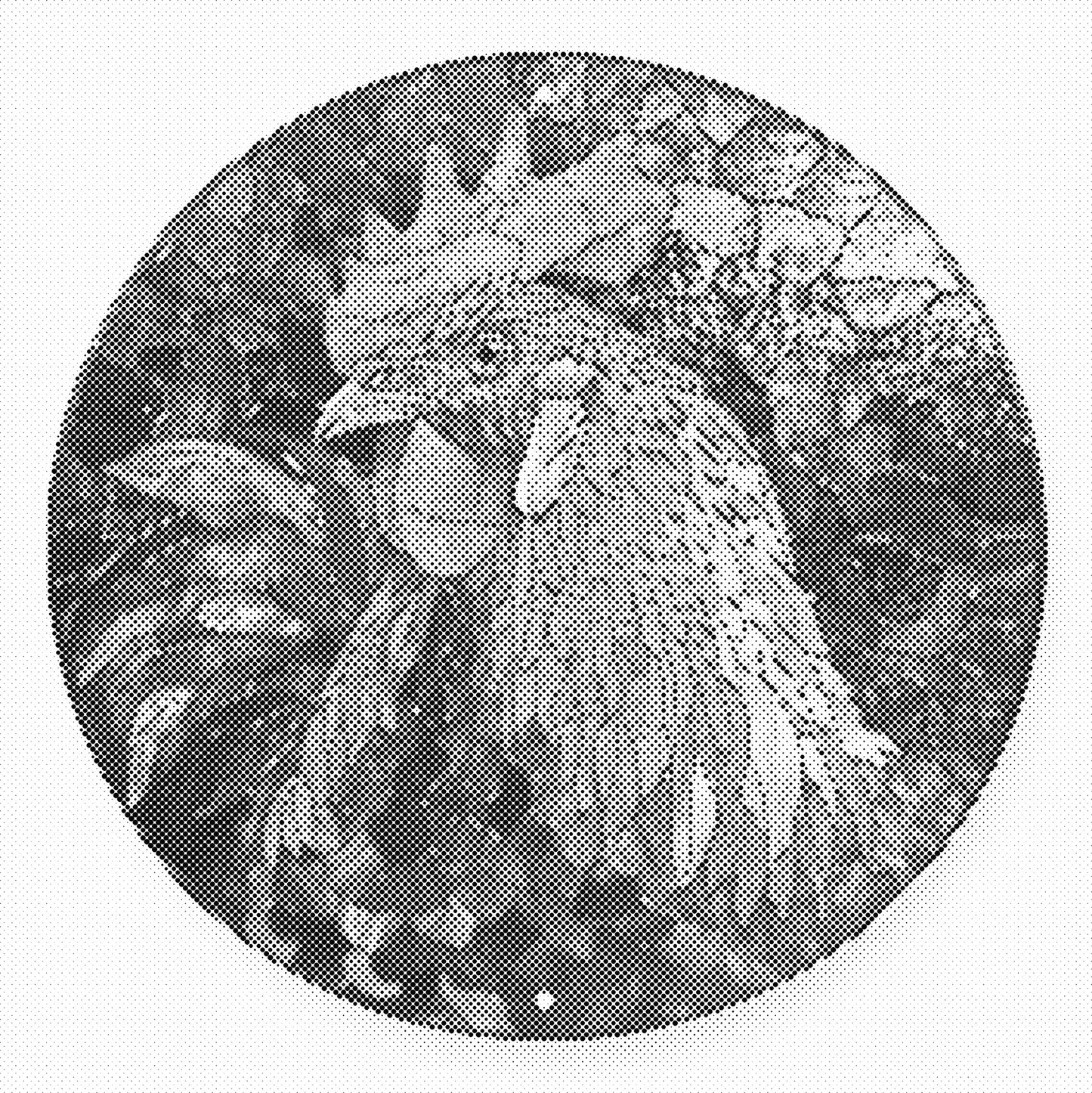 DOT Painting – Kippen & Hanen (40x40cm, 50x50cm of 60x60cm)