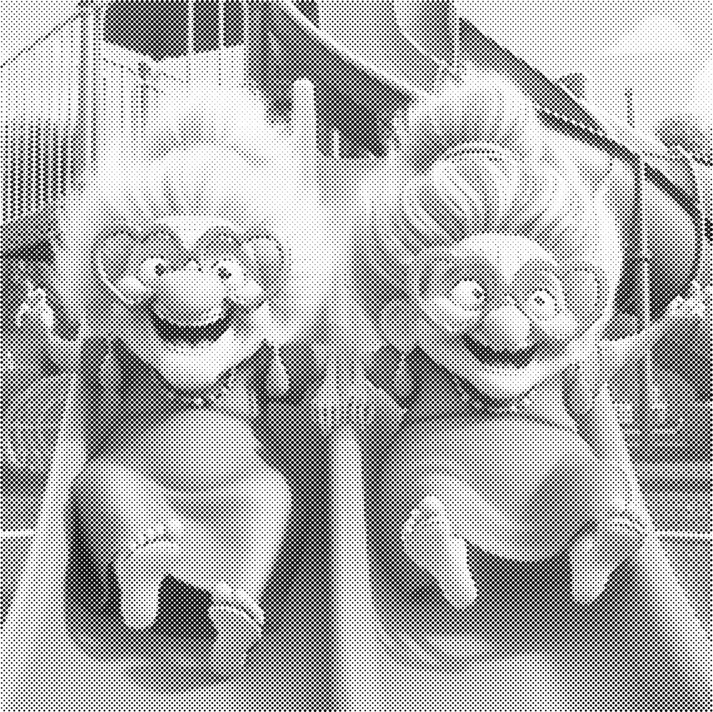 DOT Painting - Gekke Oma's (40x40cm t/m 60x60cm) – Met of zonder stiften