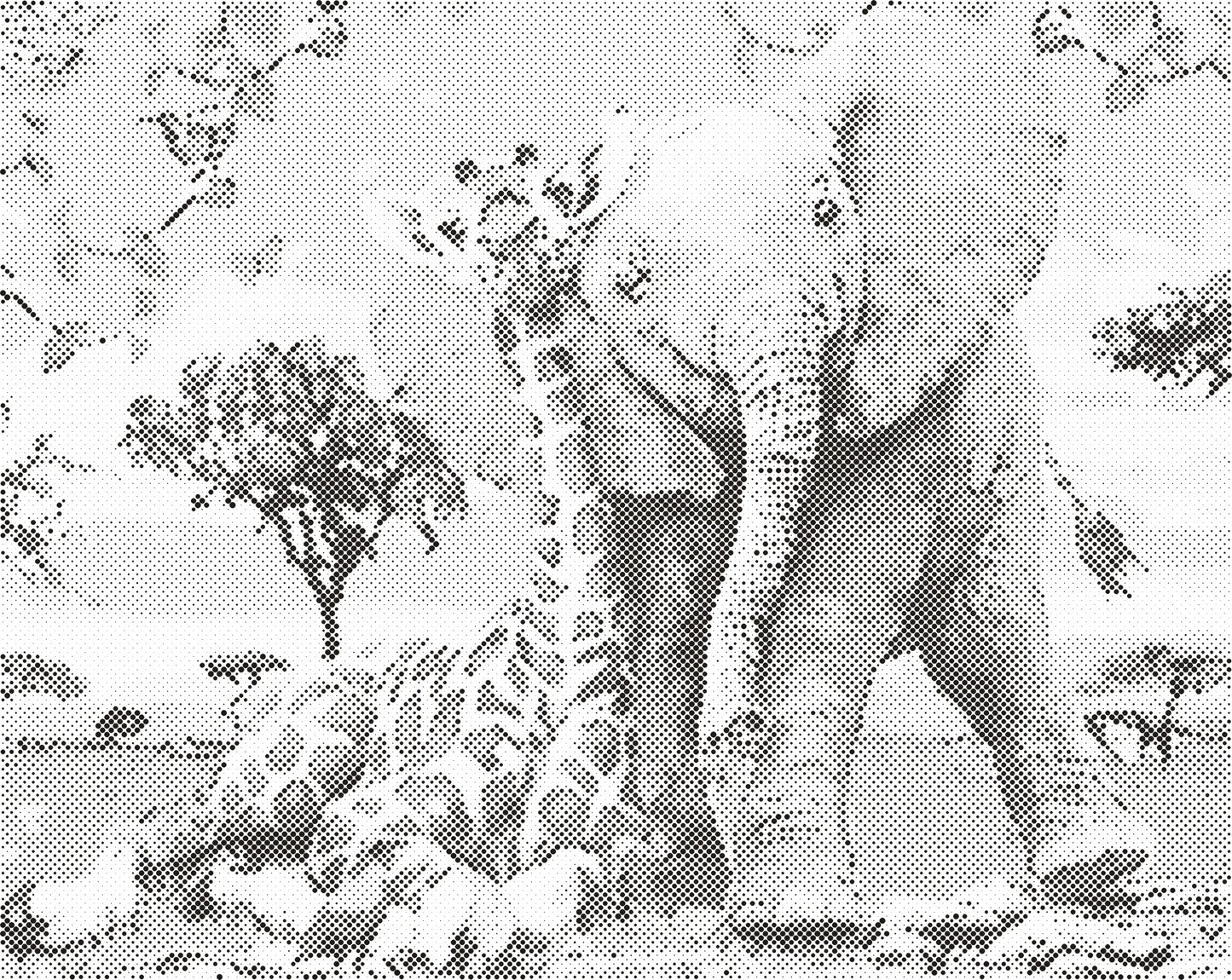 DOT Painting 40x50cm - Olifanten Design