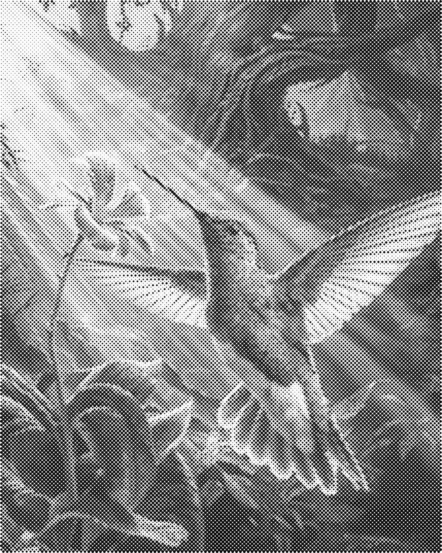 DOT Painting – Dieren op Canvas (40x50cm of 60x75cm) – Met of zonder stiften