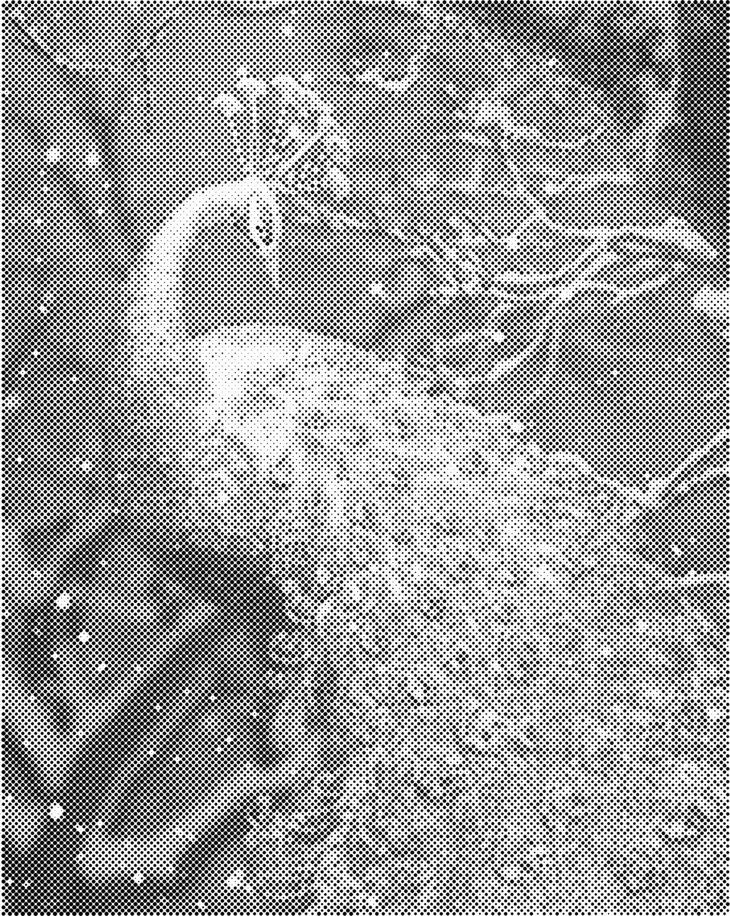 DOT Painting – Dieren op Canvas (40x50cm of 60x75cm) – Met of zonder stiften