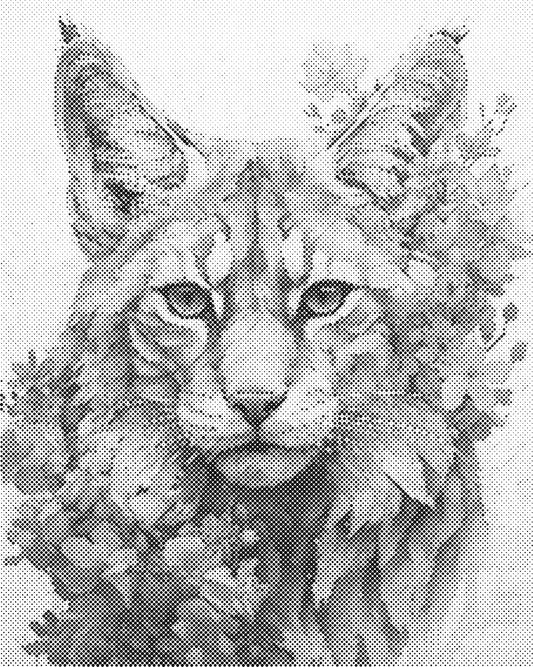 DOT Painting 40x50cm - Dierenmotief - Één Kleur Stippen - stippelschilderij - Kat