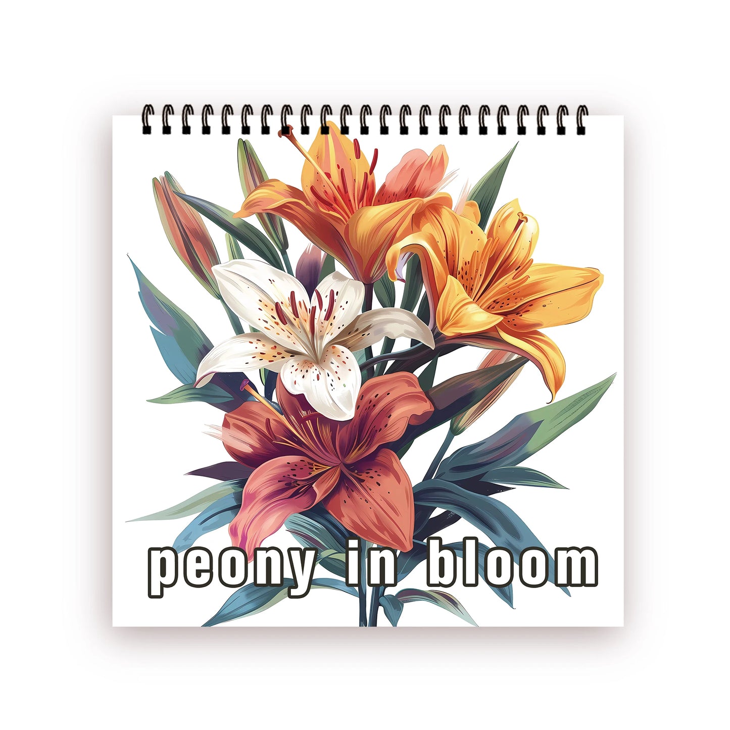 Kleurboek voor volwassenen en tieners – Spiraalontwerp met dik papier voor ontspanning en creativiteit