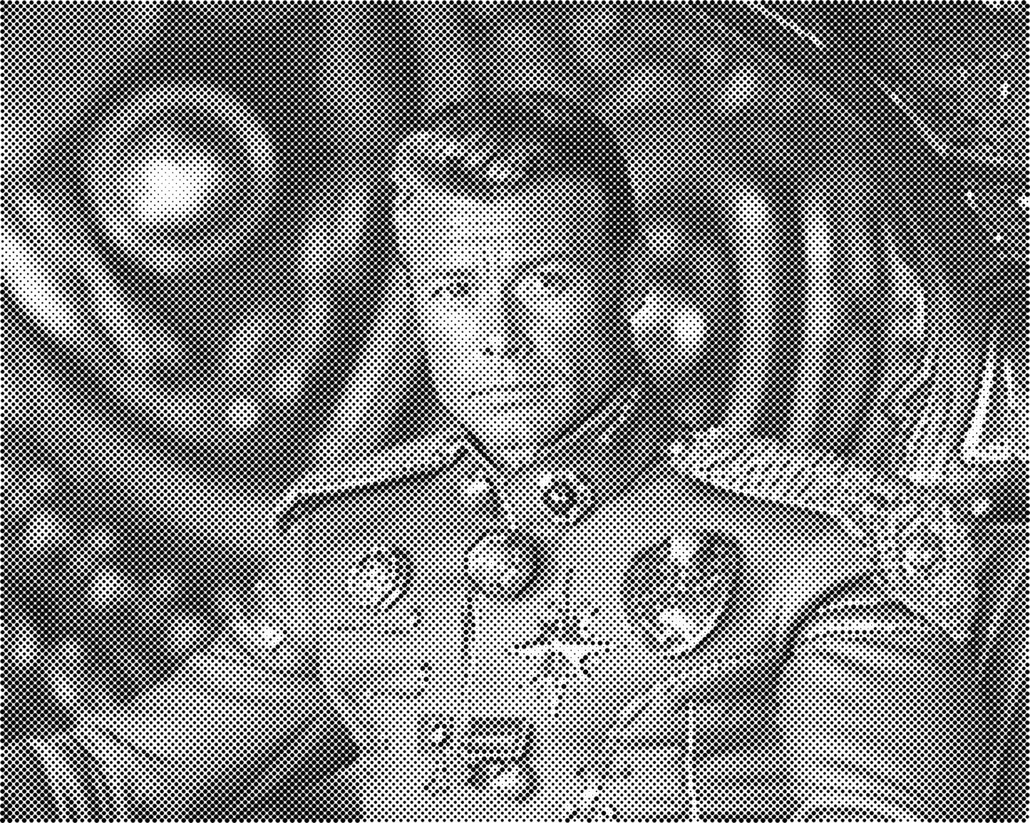 DOT Painting Portret – Stippenkunst op Canvas (40x50cm of 60x75cm)