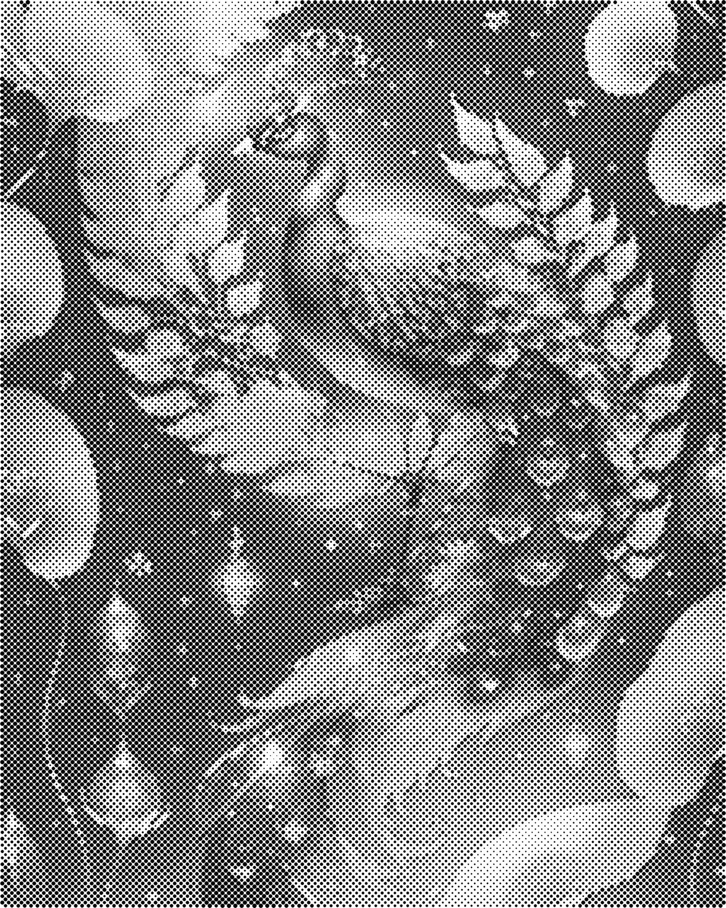 DOT Painting – Dieren op Canvas (40x50cm of 60x75cm) – Met of zonder stiften