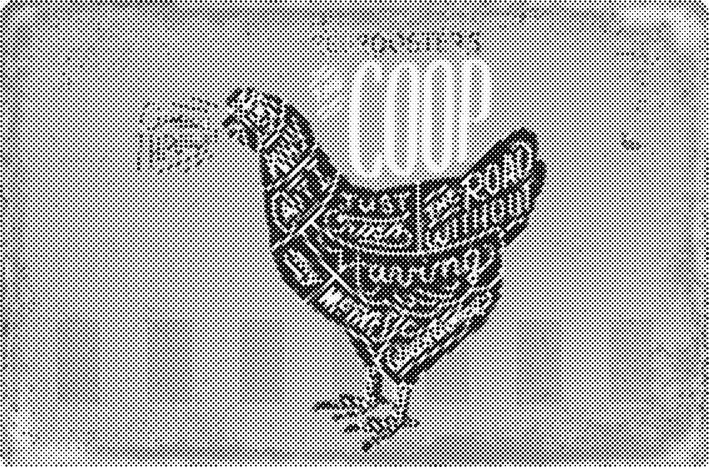 DOT Painting – Kippen & Hanen – 40x60cm t/m 60x90cm – Met of zonder stiften