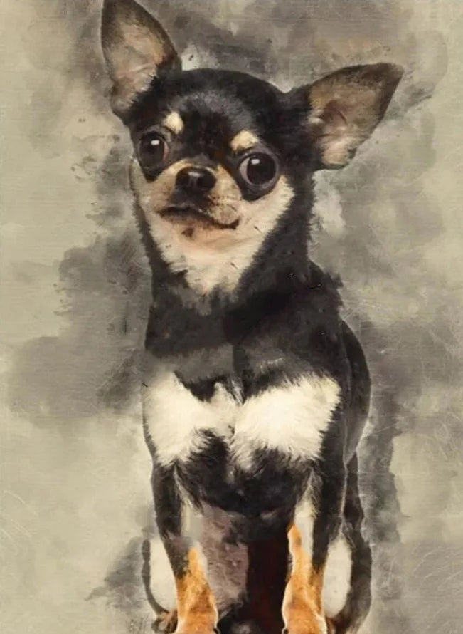 AB Diamond Painting met Fairy dust steentjes Chihuahua