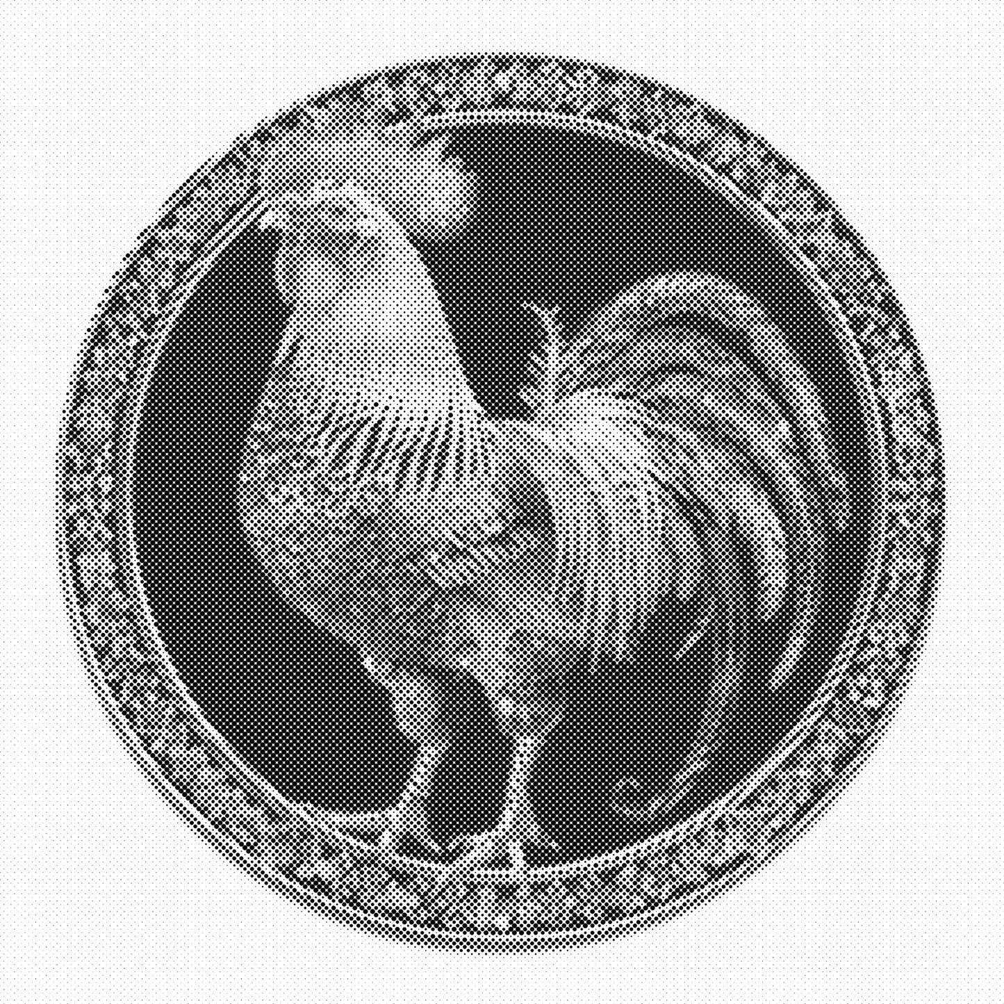 DOT Painting – Kippen & Hanen (40x40cm, 50x50cm of 60x60cm)