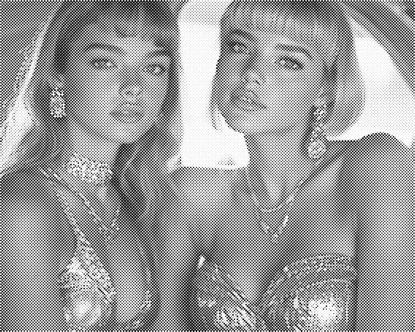 DOT Painting Portret – Stippenkunst op Canvas (40x50cm of 60x75cm)