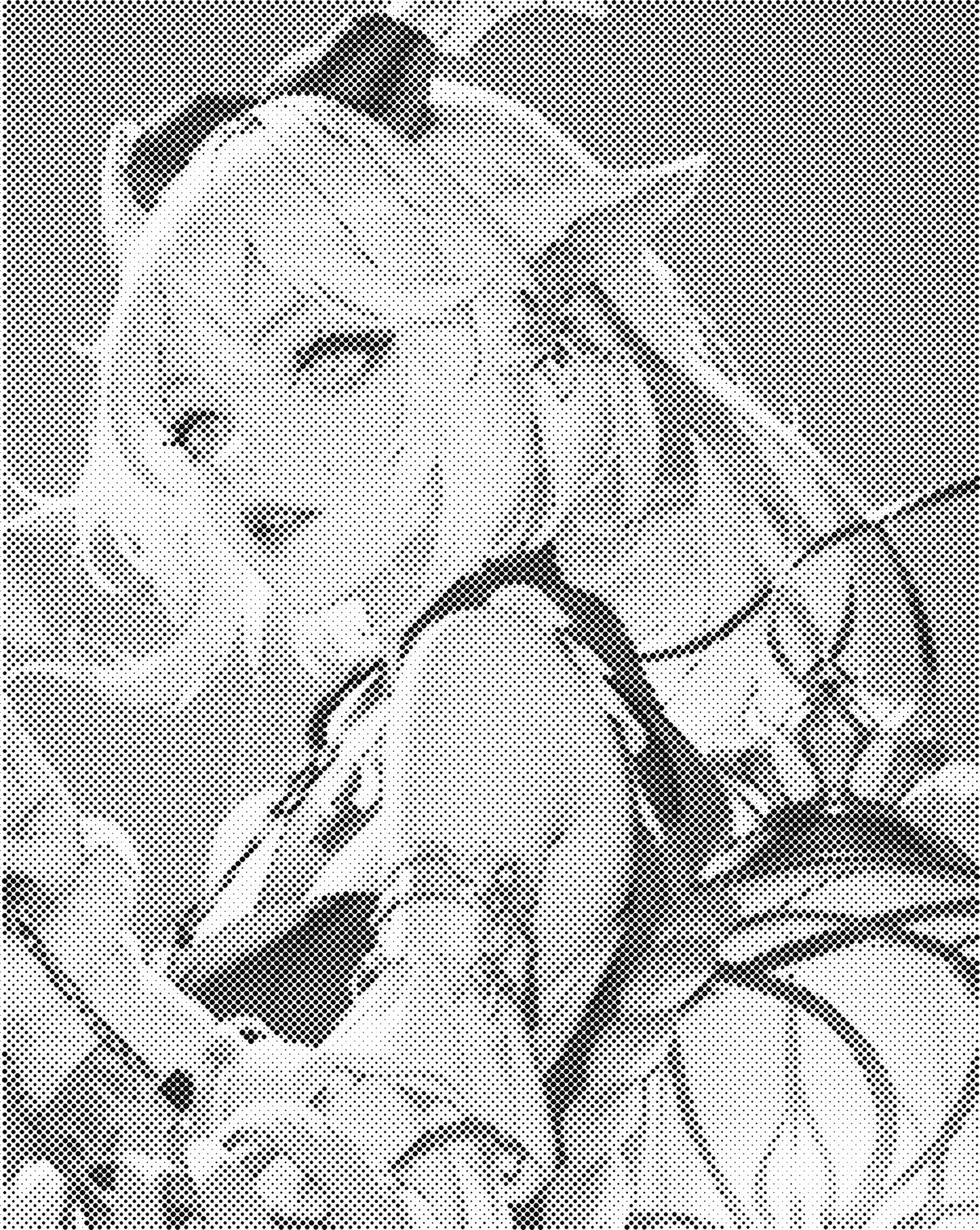 DOT Painting – Vrouwen | 40x50cm of 60x75cm