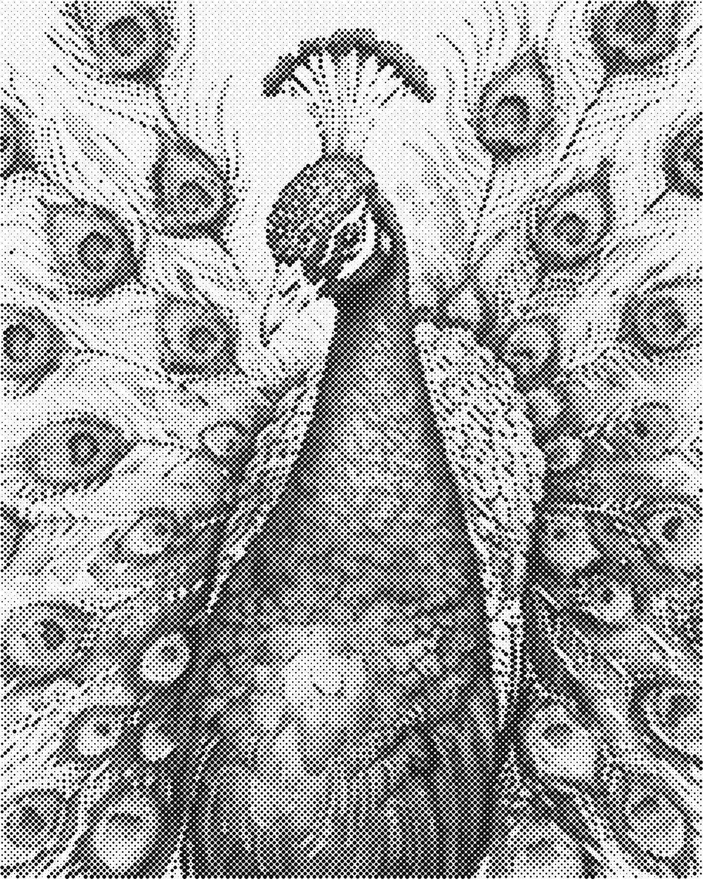 DOT Painting – Dieren op Canvas (40x50cm of 60x75cm) – Met of zonder stiften