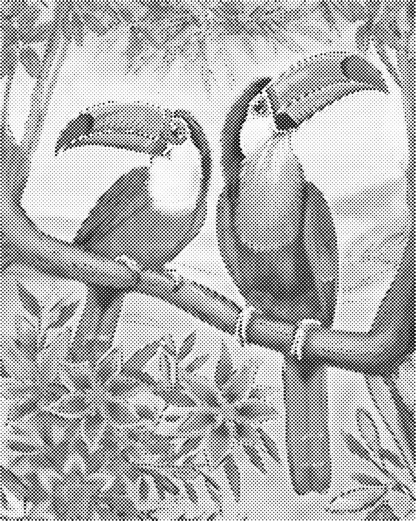 DOT Painting – Dieren op Canvas (40x50cm of 60x75cm) – Met of zonder stiften