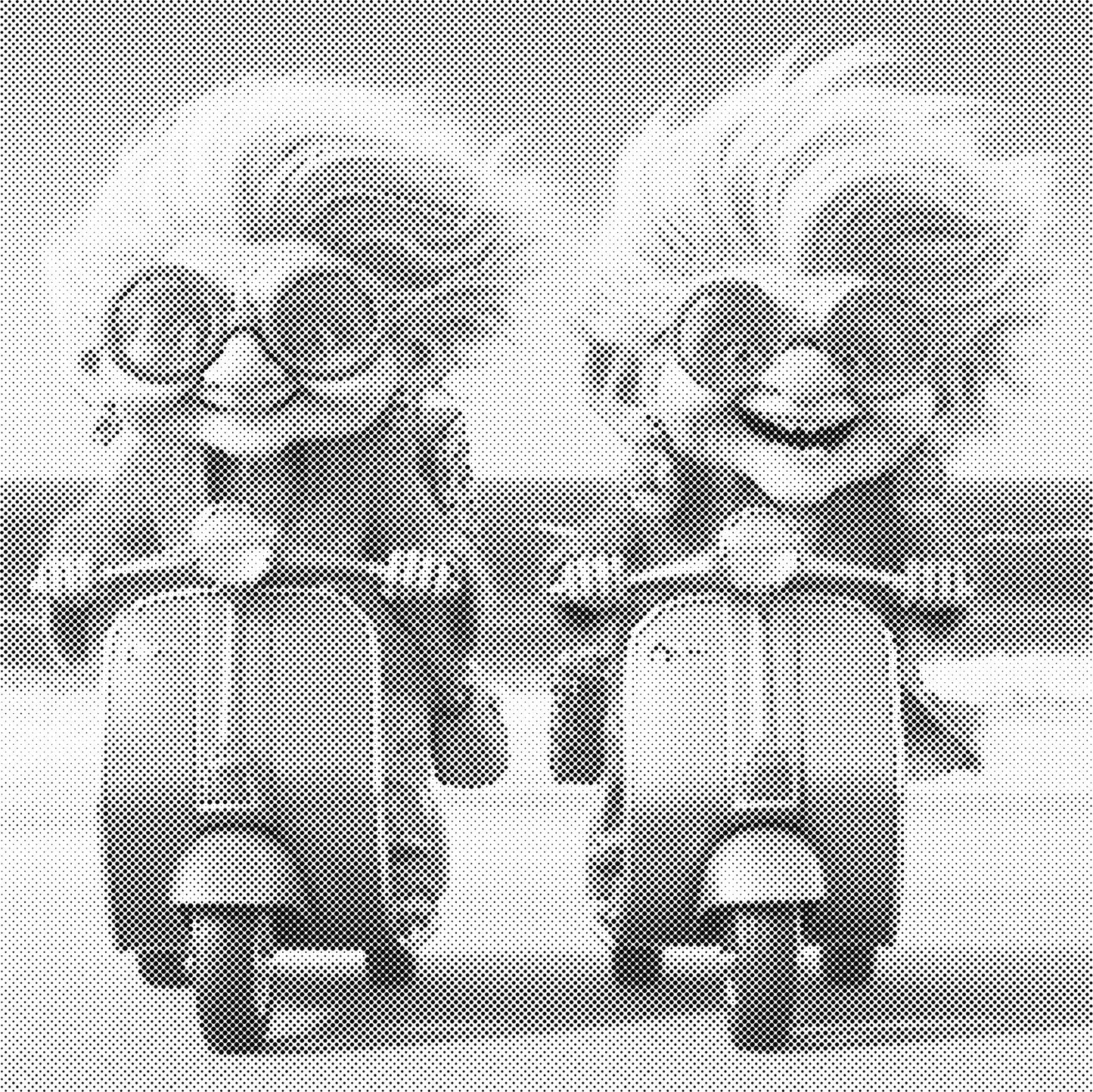 DOT Painting - Gekke Oma's (40x40cm t/m 60x60cm) – Met of zonder stiften